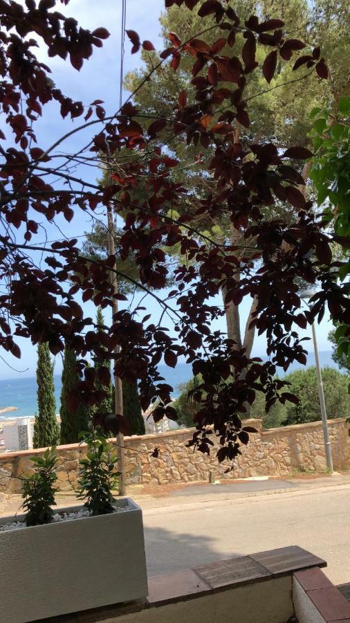 Mediterrania 98 Torroella De Montgri Luaran gambar